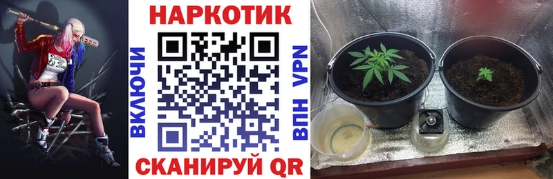 Где можно купить наркотики Володарск A-PVP  МАРИХУАНА  COCAIN 