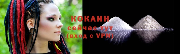 твердый Балахна