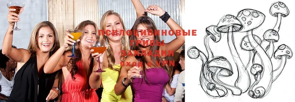 твердый Балахна