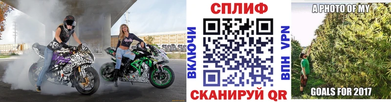 Канабис OG Kush Володарск
